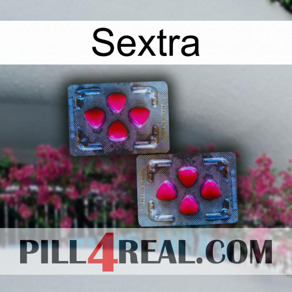 Sextra 15.jpg